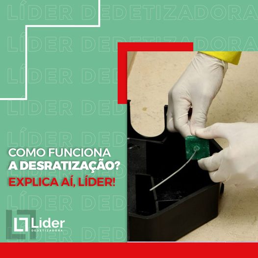 Como funciona a desratização? Explica aí, Líder! Leia a notícia Líder Dedetizadora!