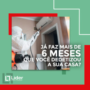 Já faz mais de 6 meses que você dedetizou a sua casa? Leia a notícia Líder Dedetizadora!