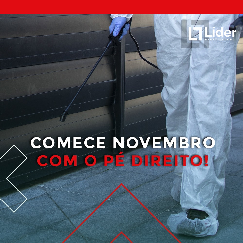 Comece Novembro com o pé direito! Leia a notícia Líder Dedetizadora!