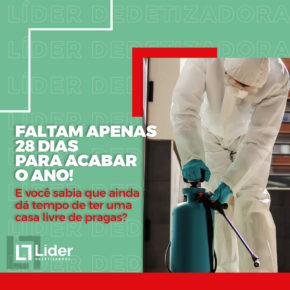 FALTAM APENAS 28 DIAS PARA ACABAR O ANO! E você sabia que ainda dá tempo de ter uma casa livre de pragas? - Líder Dedetizadora