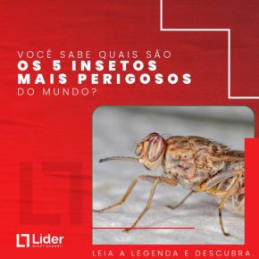 Você sabe quais são os 5 insetos mais perigosos do mundo? Leia a notícia Líder Dedetizadora!