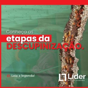 Conheça as etapas da descupinização! Leia a notícia Líder Dedetizadora!