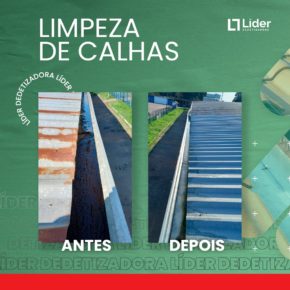 Limpeza de Calhas é com a Líder Dedetizadora!