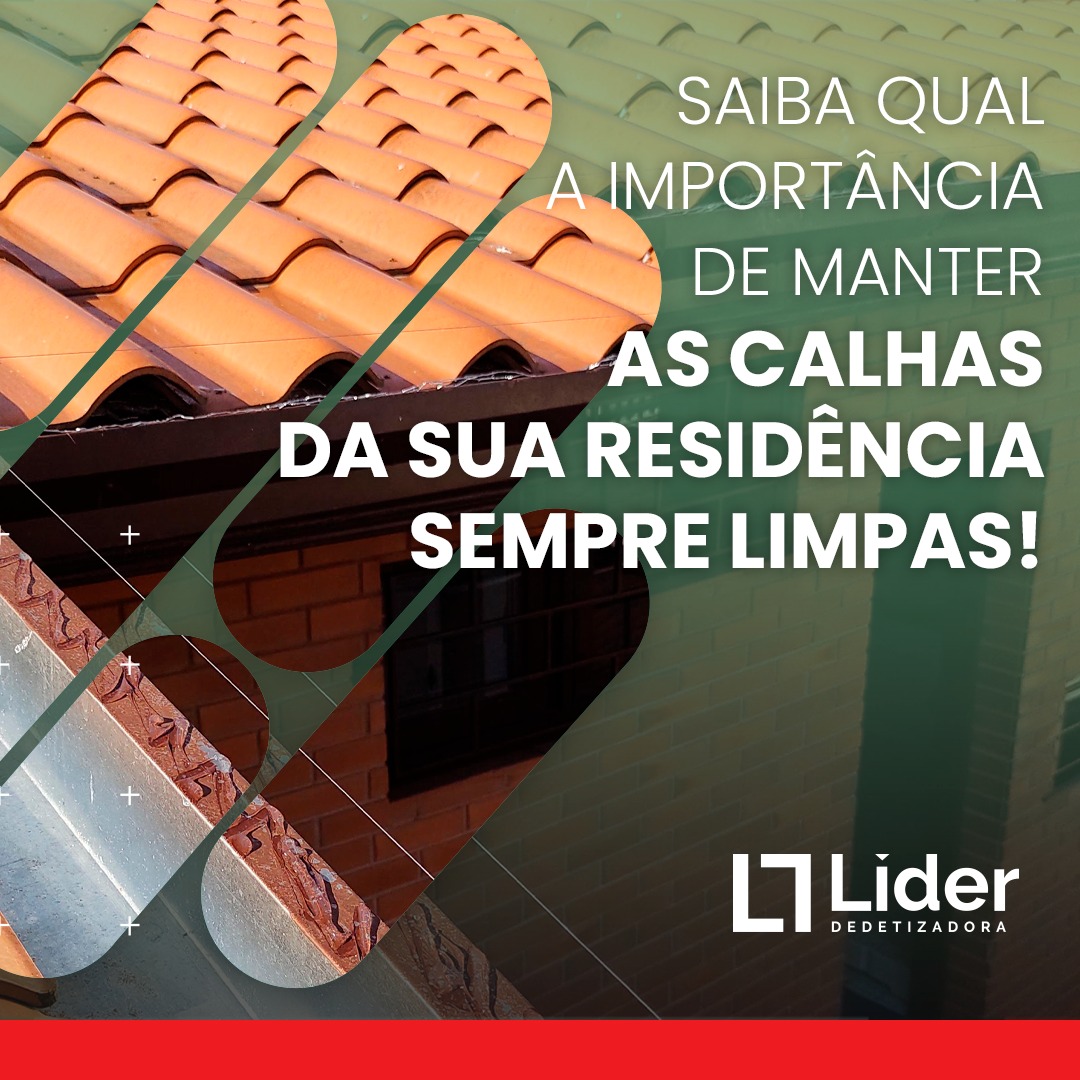 Saiba qual a importância de manter as calhas da sua residência sempre limpas! Leia a notícia Líder Dedetizadora!