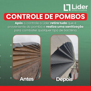 Controle de Pombos - Após o controle a Líder retira tudo que é proveniente o pombo e realiza uma sanitização para combater qualquer tipo de bactéria. Leia a notícia Líder Dedetizadora!