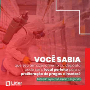 Você sabia que seu armazenamento ou depósito pode ser o local perfeito para a proliferação de pragas e insetos? Leia a notícia Líder Dedetizadora!