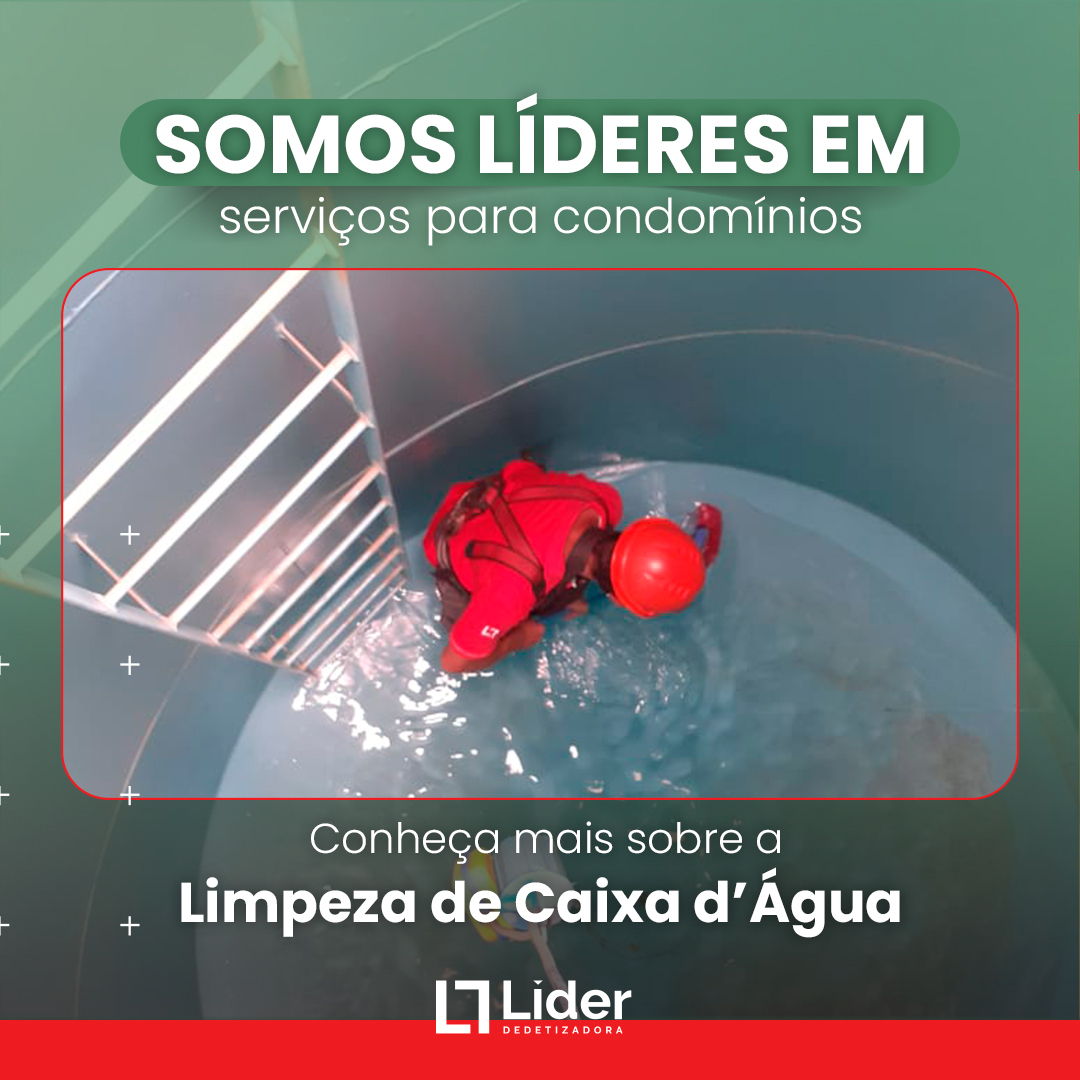 Somos líderes em serviços para condomínios! Conheça mais sobre Limpeza de Caixa D'água! Leia a notícia Líder Dedetizadora!