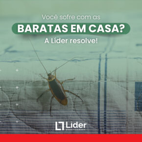 Você sofre com as BARATAS EM CASA? A Líder resolve! Leia a notícia Líder Dedetizadora!