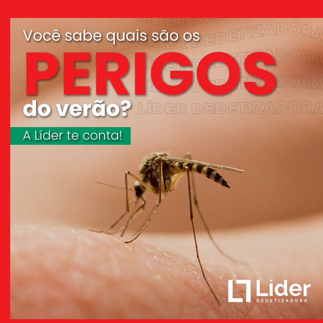 Você sabe quais são os PERIGOS do verão? A Líder te conta! Leia a notícia Líder Dedetizadora!