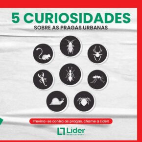 5 CURIOSIDADES SOBRE PRAGAS URBANAS: Previna-se contra as pragas, chame a Líder! Leia a notícia Líder Dedetizadora!