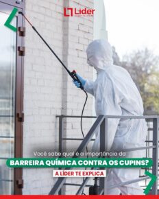 Você sabe qual é a importância da BARREIRA QUÍMICA CONTRA OS CUPINS? Leia a notícia Líder Dedetizadora!