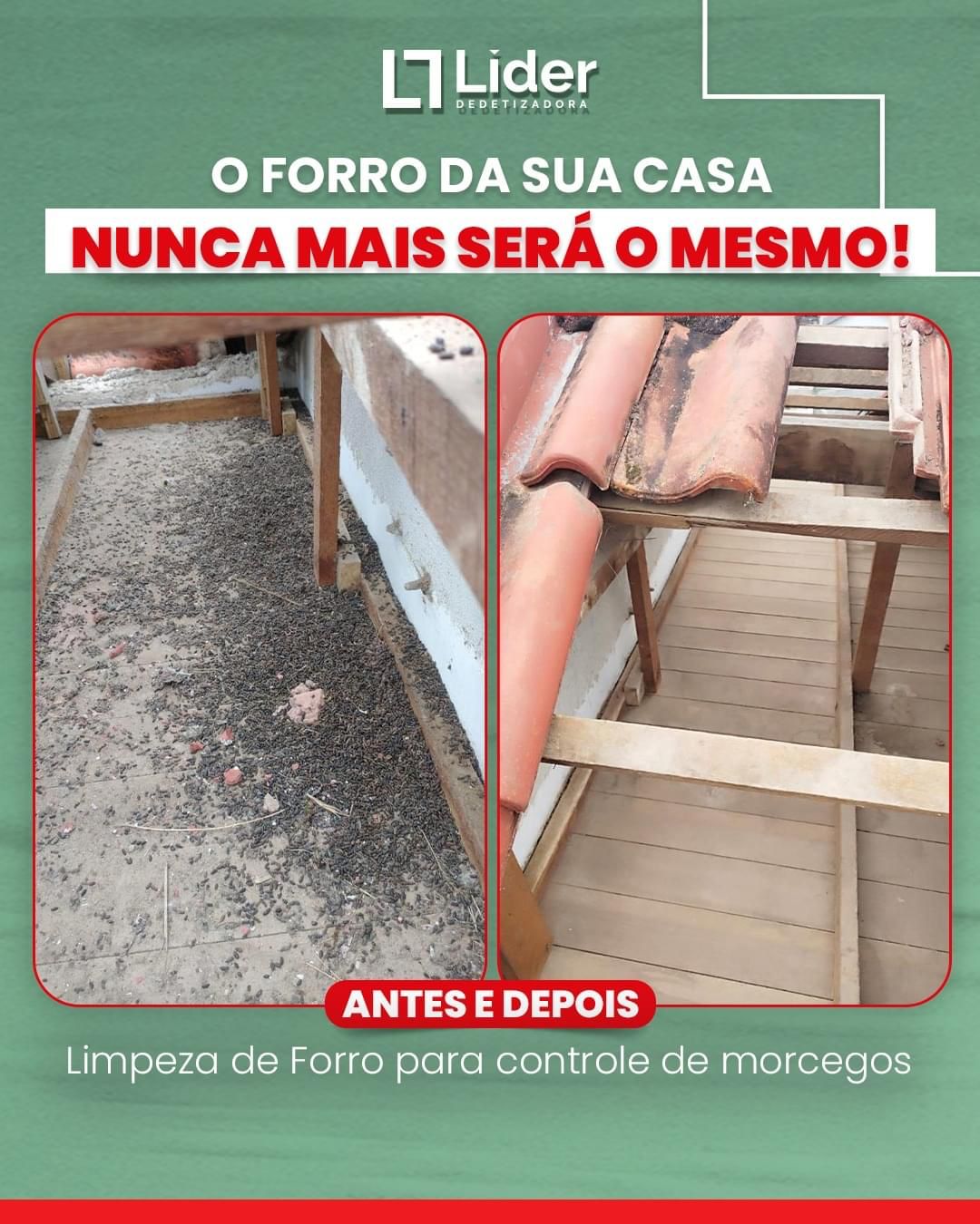 O FORRO DA SUA CASA NUNCA MAIS SERÁ O MESMO! Limpeza de Forro para controle de morcegos é com a Líder Dedetizadora!