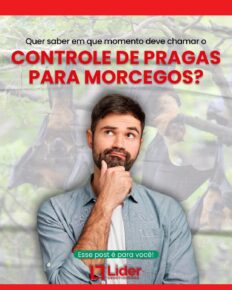 Quer saber em que momento deve chamar o CONTROLE DE PRAGAS PARA MORCEGOS? Esse post é para você! Leia a notícia Líder Dedetizadora!