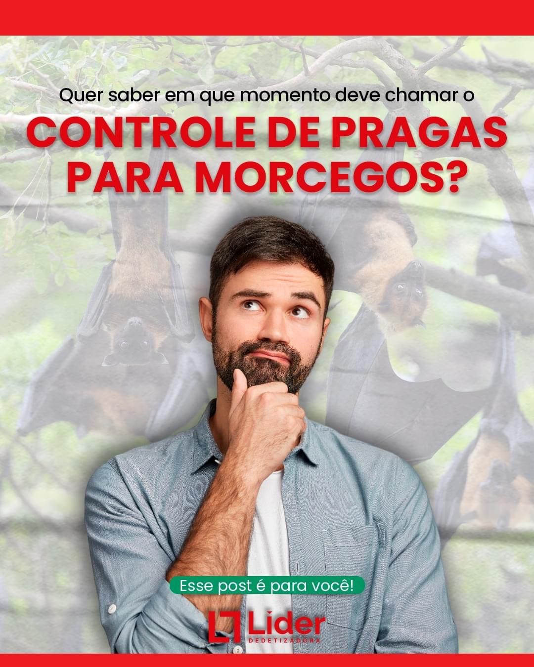 Quer saber em que momento deve chamar o CONTROLE DE PRAGAS PARA MORCEGOS? Esse post é para você! Leia a notícia Líder Dedetizadora!