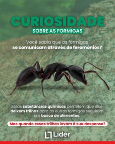 CURIOSIDADE SOBRE AS FORMIGAS: Você sabia que as formigas se comunicam através de feromônios? Essas substâncias químicas permitem que elas deixem trilhas para as outras formigas seguirem em busca de alimentos. Leia a notícia Líder Dedetizadora!