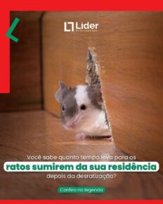 Você sabe quanto tempo leva para os ratos sumirem da sua residência depois da desratização? Leia a notícia Líder Dedetizadora!