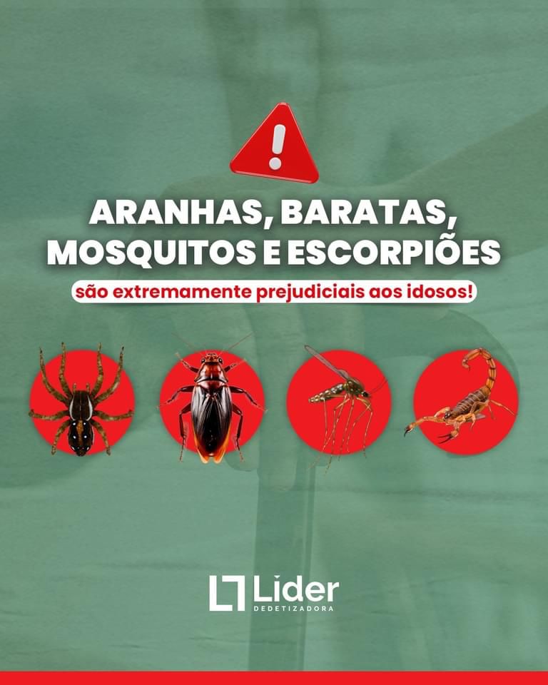 ARANHAS, BARATAS, MOSQUITOS E ESCORPIÕES são extremamente prejudiciais aos idosos! Leia a notícia Líder Dedetizadora!