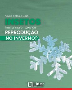 Você sabe quais INSETOS tem a maior taxa de REPRODUÇÃO NO INVERNO? Leia a notícia Líder Dedetizadora!