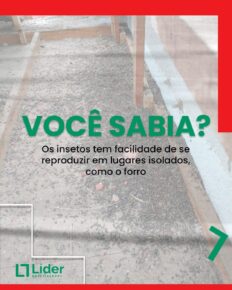 VOCÊ SABIA? Os insetos tem facilidade de se reproduzir em lugares isolados, como o forro. Leia a notícia Líder Dedetizadora!