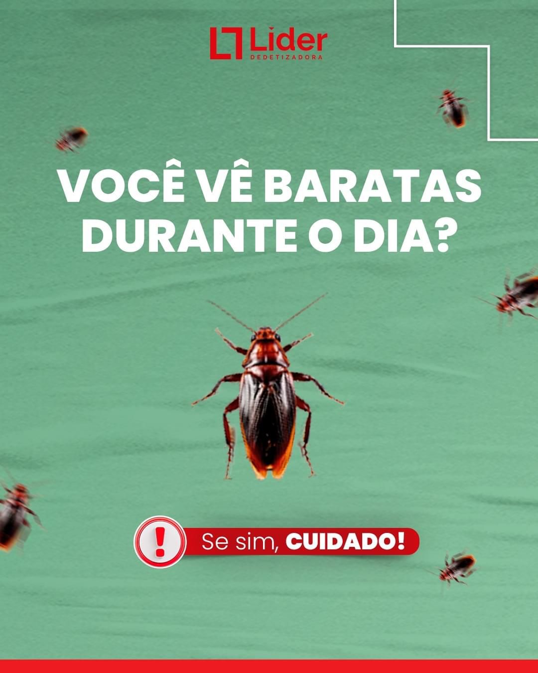 Você vê baratas durante o dia? Se sim, CUIDADO! Leia a notícia Líder Dedetizadora!