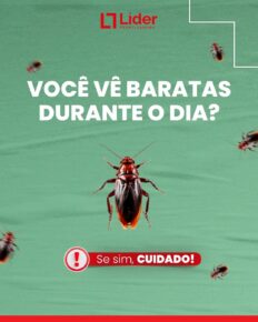 Você vê baratas durante o dia? Se sim, CUIDADO! Leia a notícia Líder Dedetizadora! 2