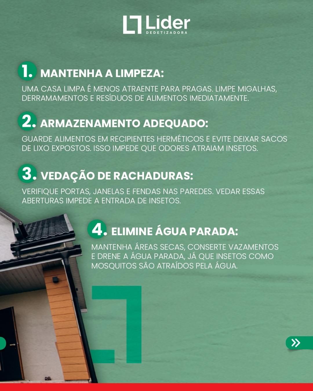 Dicas de Líder é com a Líder Dedetizadora 1