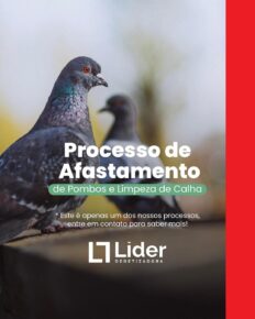 Processo de Afastamento de Pombos e Limpeza de Calha. *Este é apenas um dos processos, entre em contato para saber mais sobre a Líder Dedetizadora!